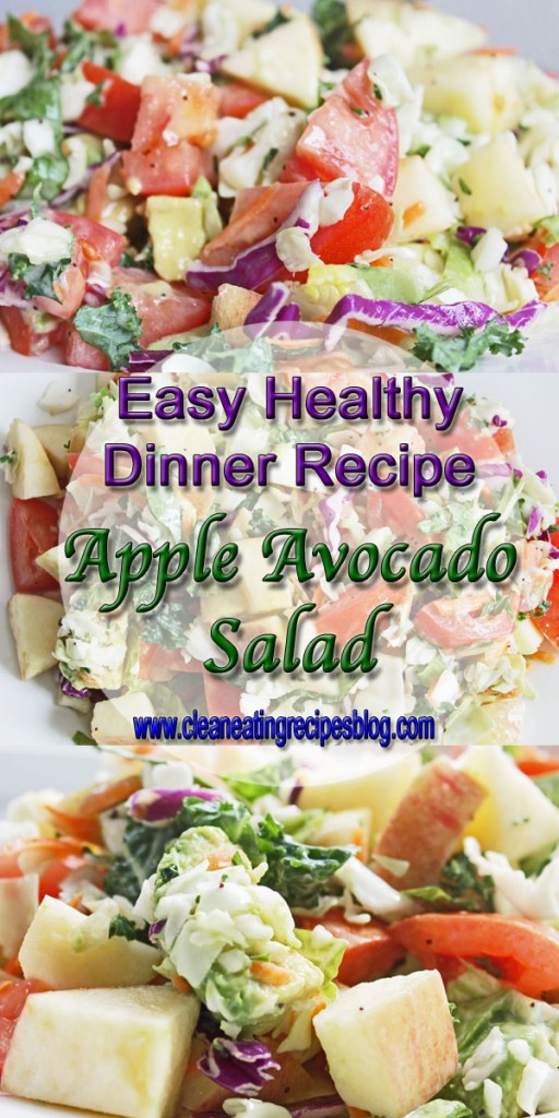 Apple Salad Recipes Healthy
 Healthy Salad Recipe Apple Avocado Salad