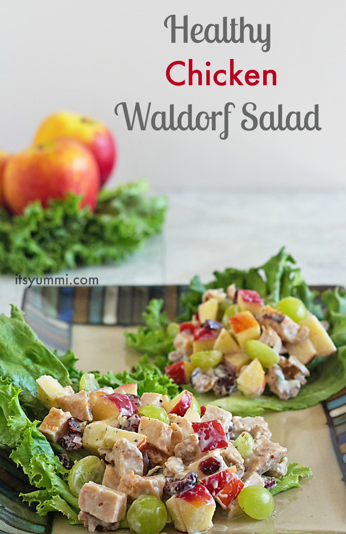 Apple Salad Recipes Healthy
 Healthy Chicken Waldorf Salad Recipe ⋆ Its Yummi