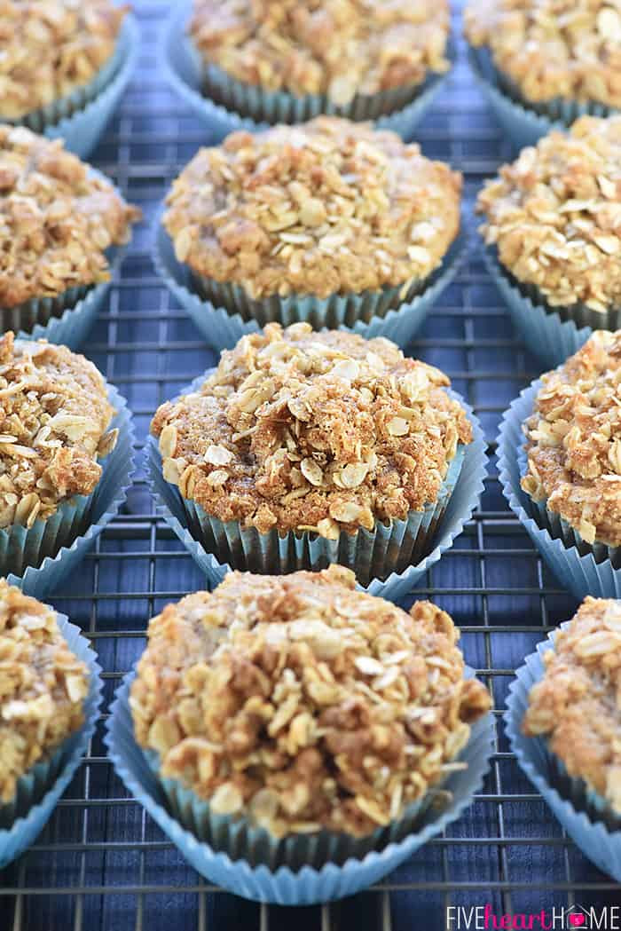 Applesauce Muffins Healthy
 Healthy Whole Wheat & Honey Applesauce Muffins