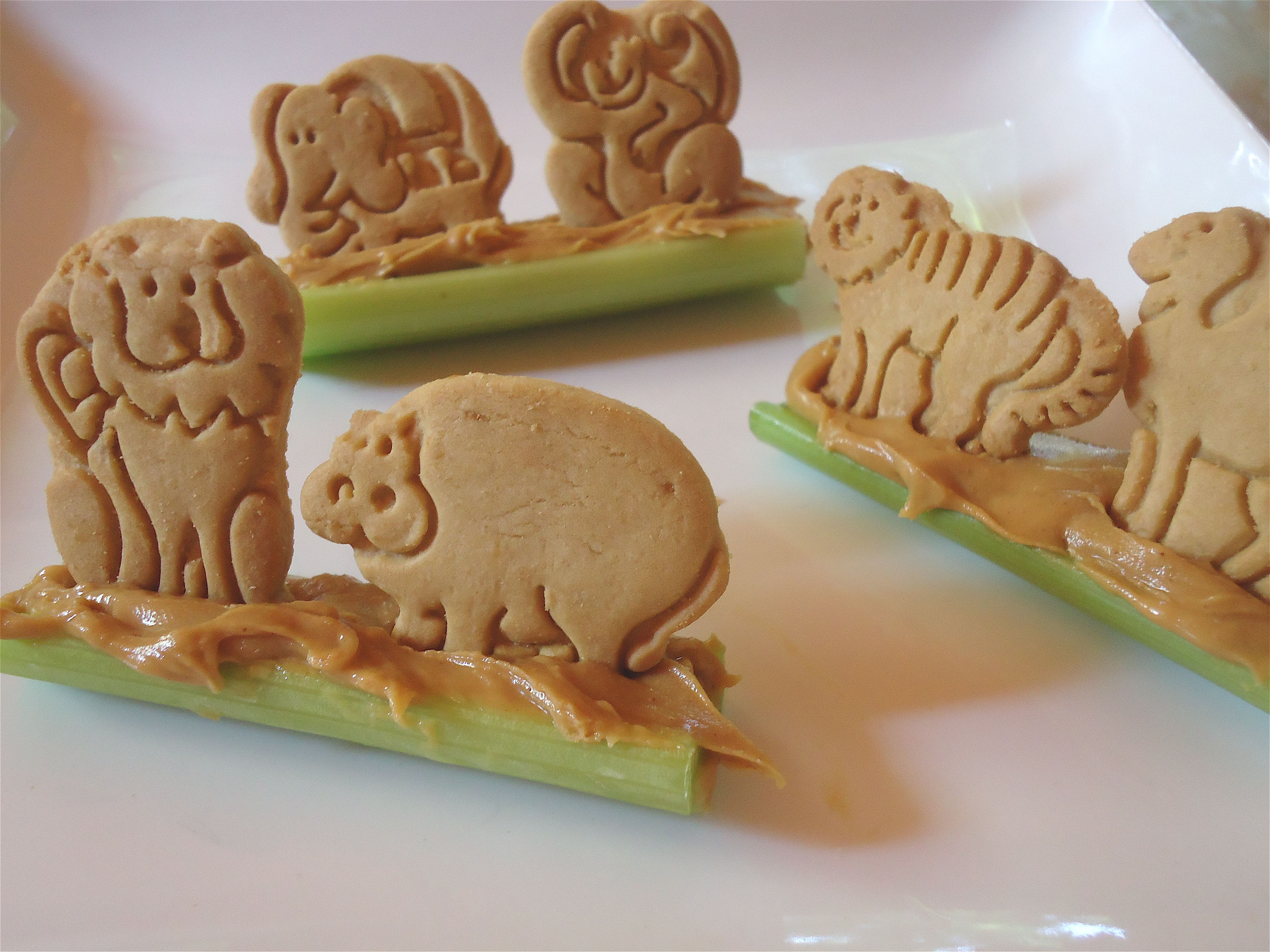 Are Animal Crackers Healthy
 Fun version of ants on a log Celery animal crackers and