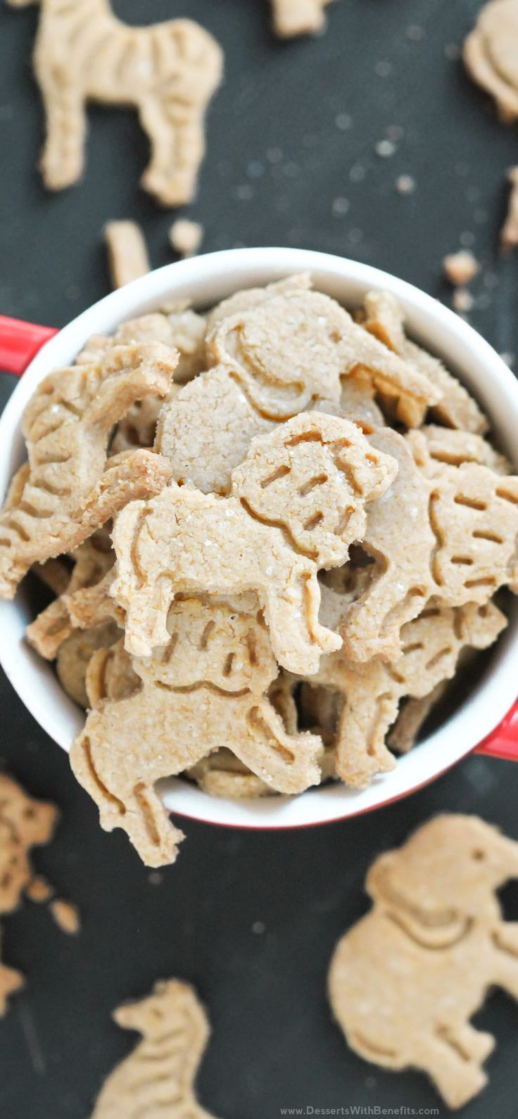 Are Animal Crackers Healthy
 1770 best Animal Snacks For Kids That Are YUM And FUN