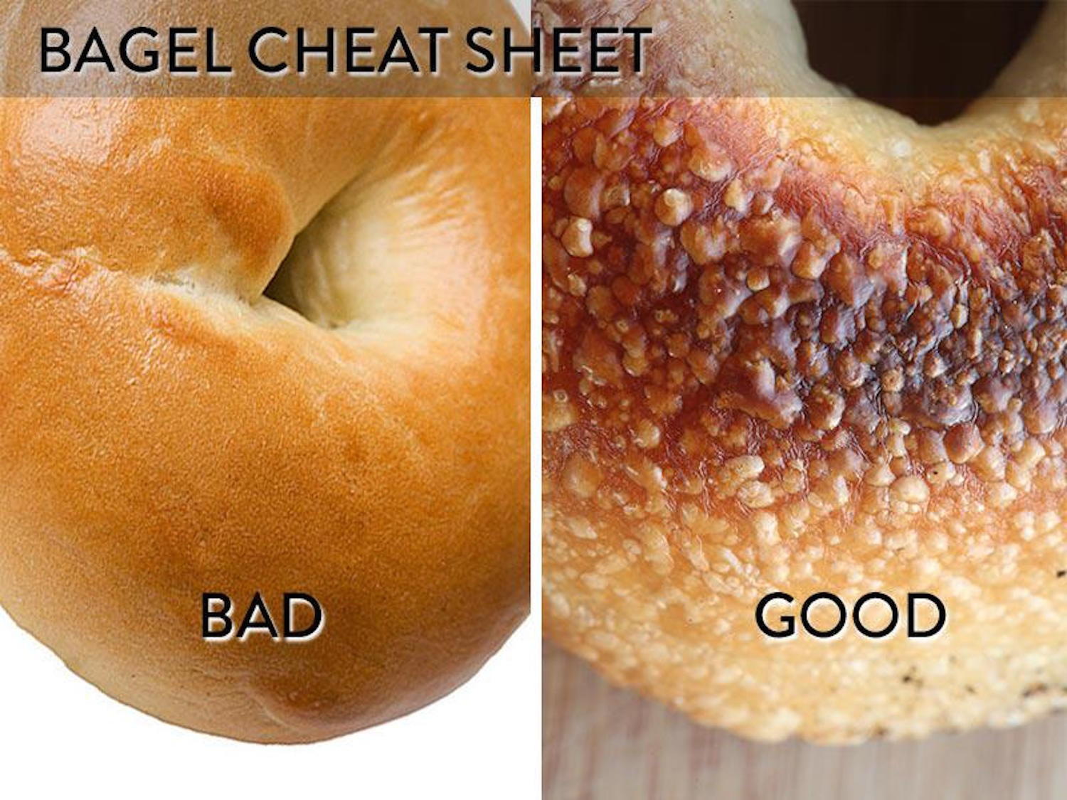 Are Bagels Unhealthy
 The Good Bagel Manifesto