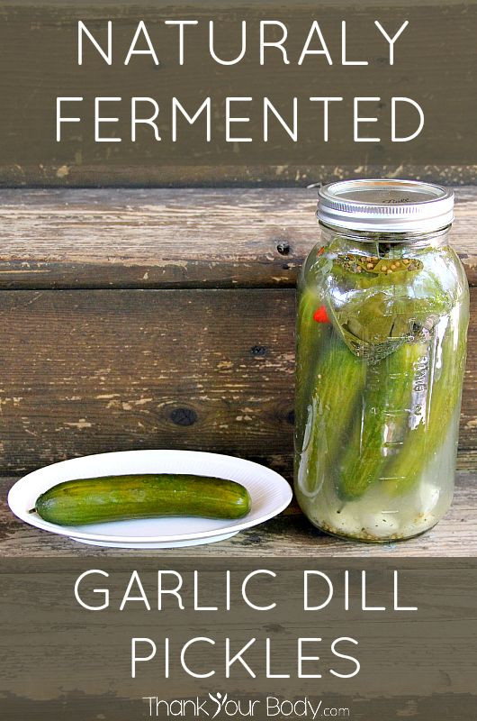 Are Dill Pickles Healthy
 121 best Fermented foods images on Pinterest