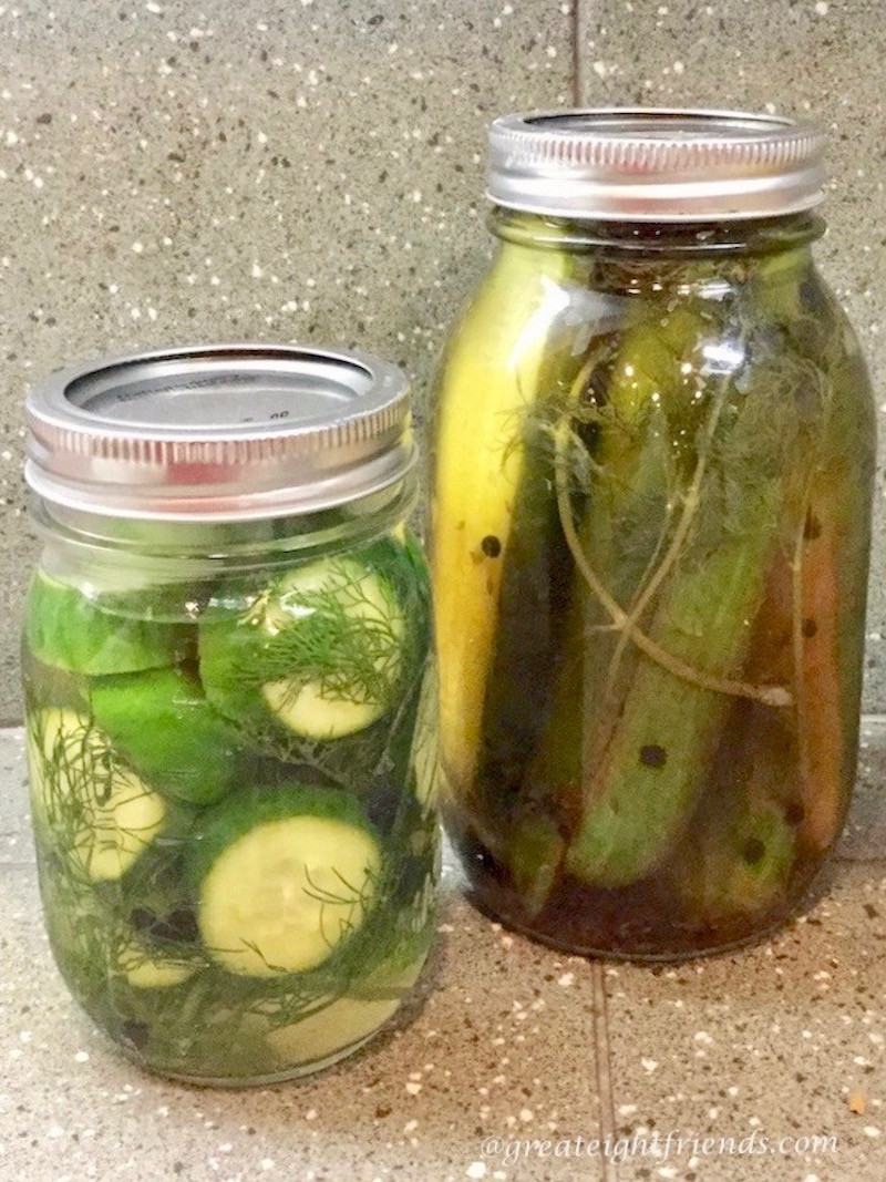 Are Dill Pickles Healthy
 Classic Dill Pickles a healthy snack from your own jar