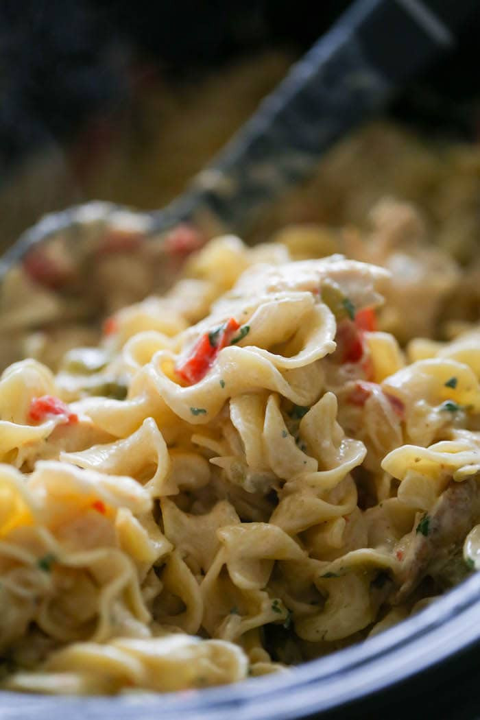 Are Egg Noodles Healthy
 Southwest Crockpot Egg Noodle Casserole