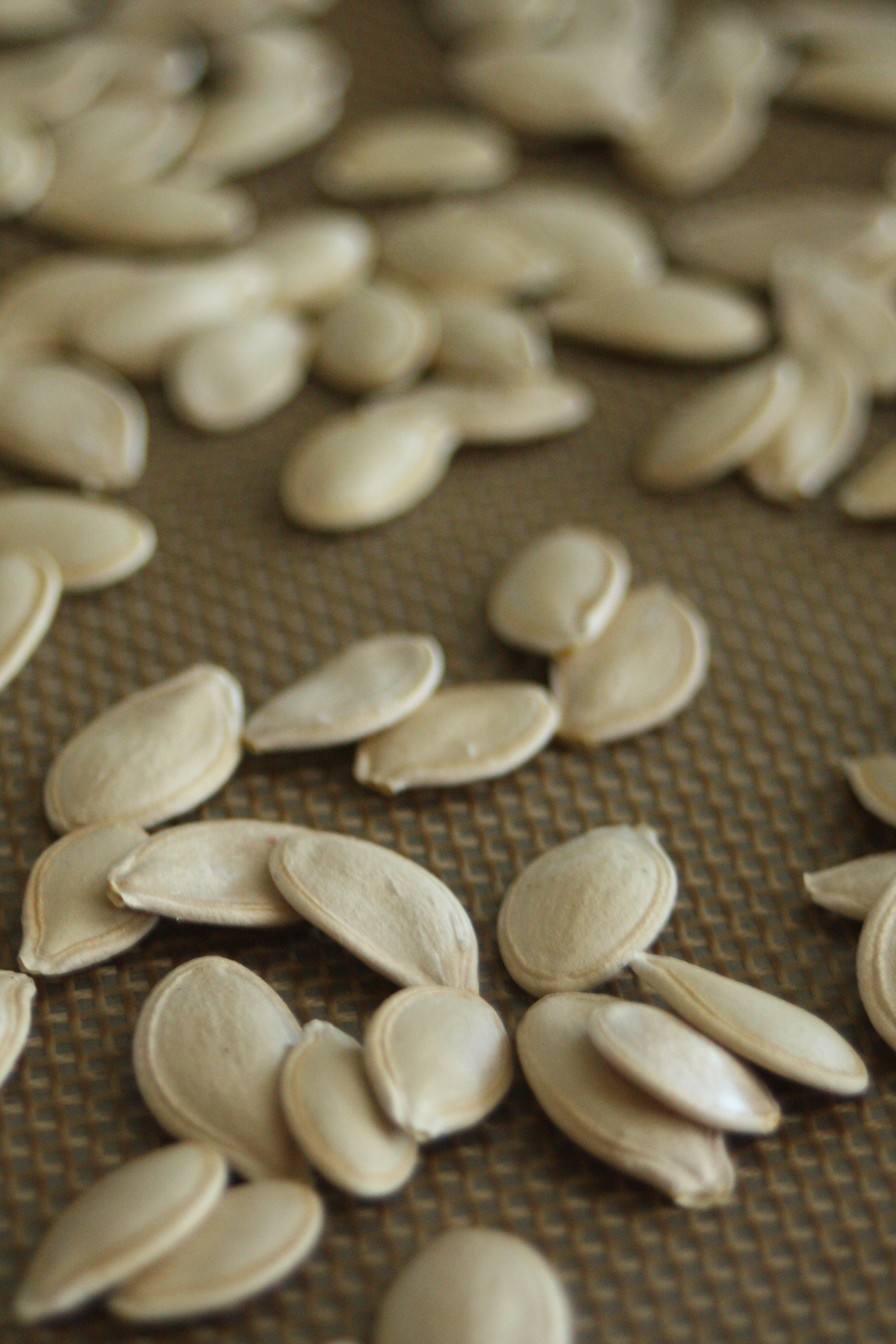 Are Pumpkin Seeds Healthy For You
 Good For You Friday Pumpkin Seeds