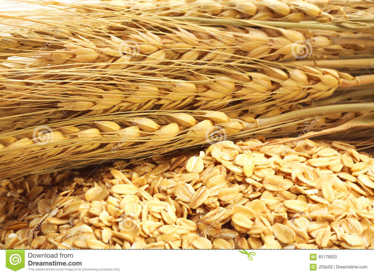 Are Rolled Oats Healthy
 Cereal Grain Whole Rolled Oats Stock Image