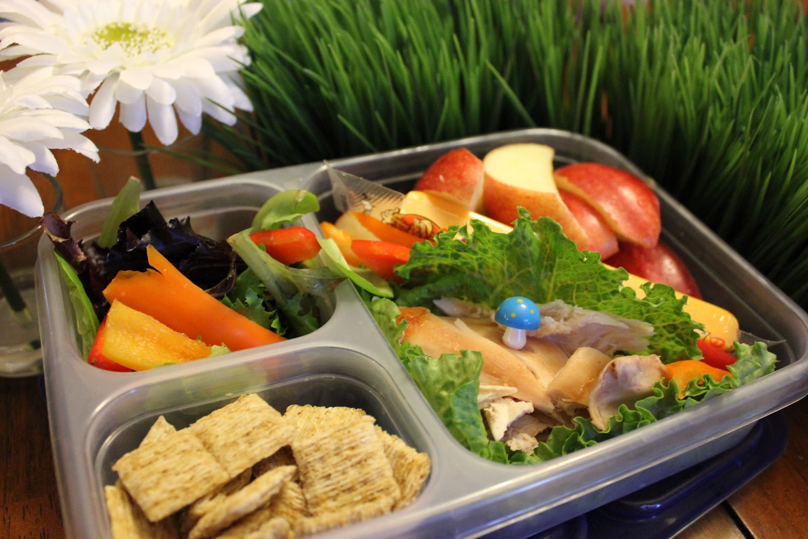 Are School Lunches Healthy
 Life s Abundant Adventures Healthy School Lunches