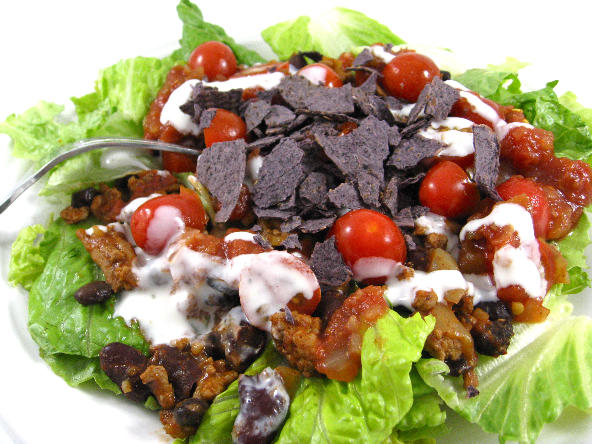 Are Taco Salads Healthy
 taco salad photo 3