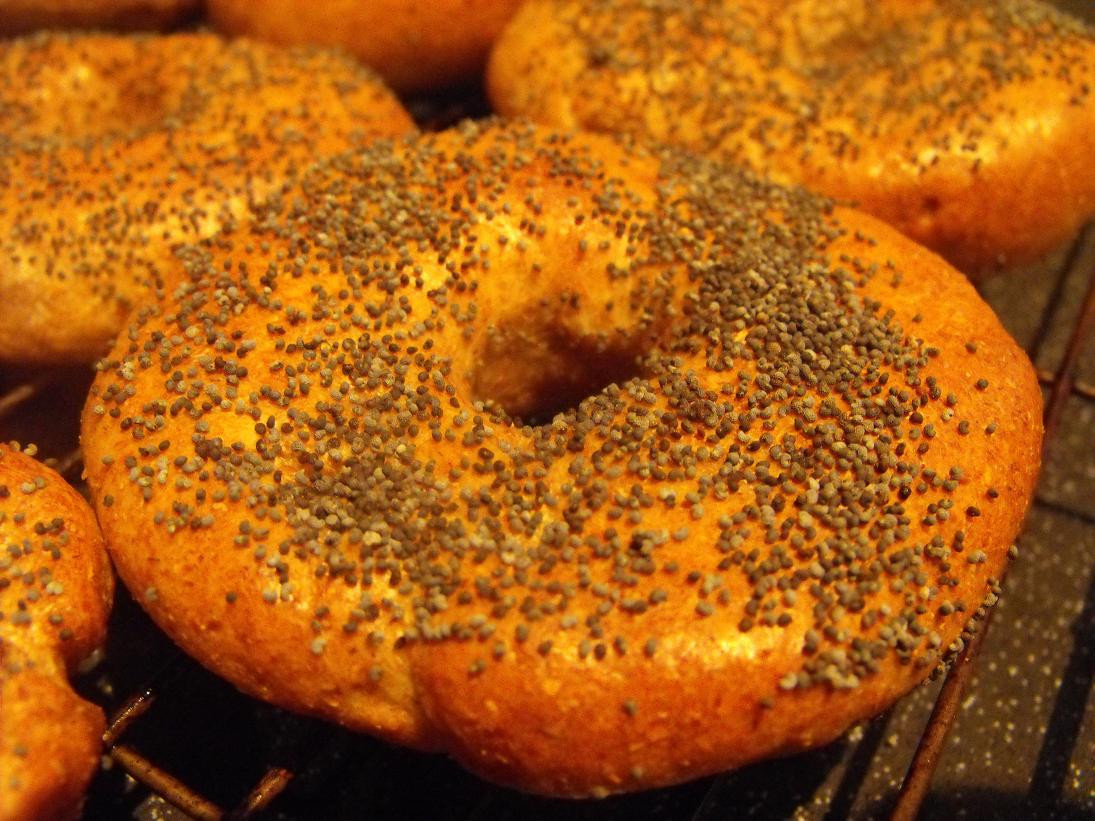 Are Whole Wheat Bagels Healthy
 Whole Wheat Bagels Hungry Healthy Happy