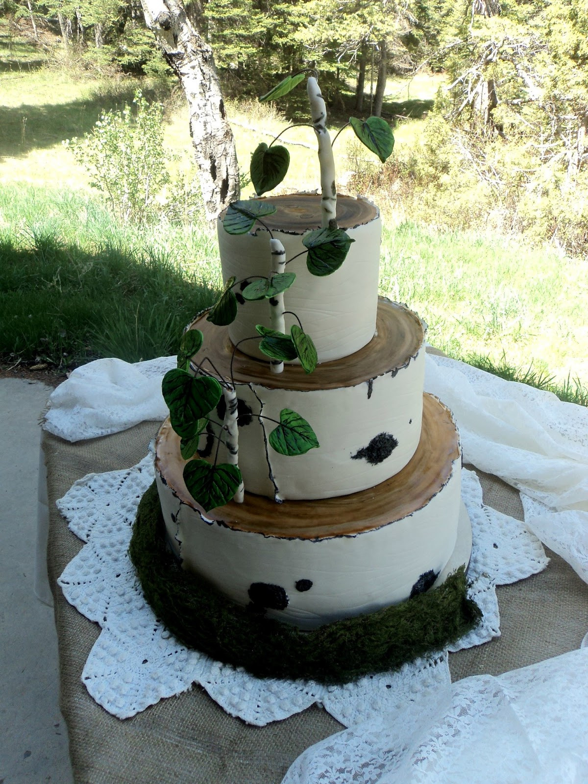 Aspen Tree Wedding Cakes
 Delectable Cakes Aspen Tree Wedding Cake