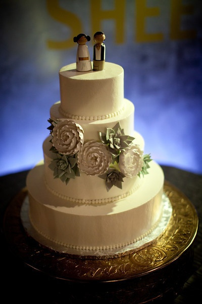 Baltimore Wedding Cakes
 succulent wedding cake Baltimore Wedding Maria Arnats
