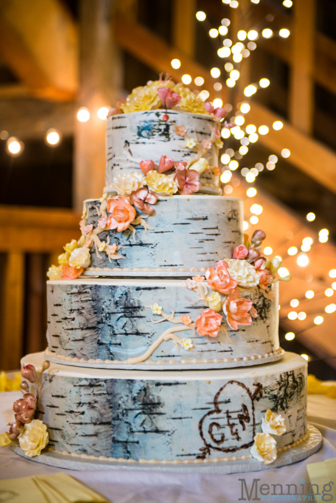 Barn Wedding Cakes Best 20 Colleen &amp; Nathan Wedding