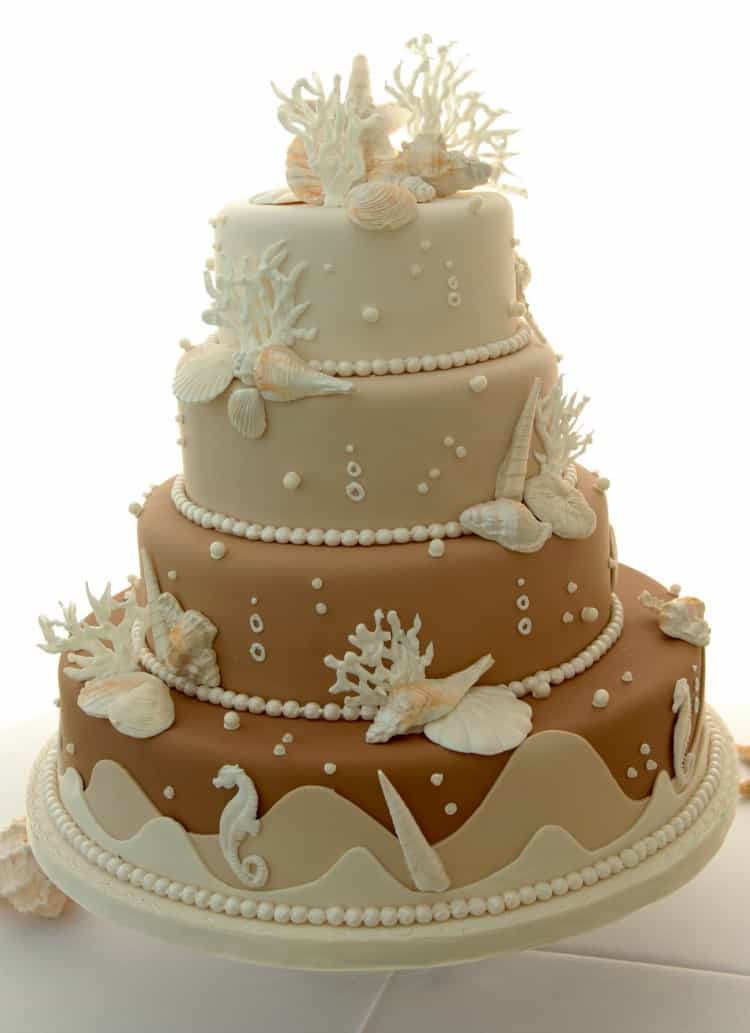 Beach Themed Wedding Cakes
 Beach Wedding Cake Ideas Destination Wedding Details