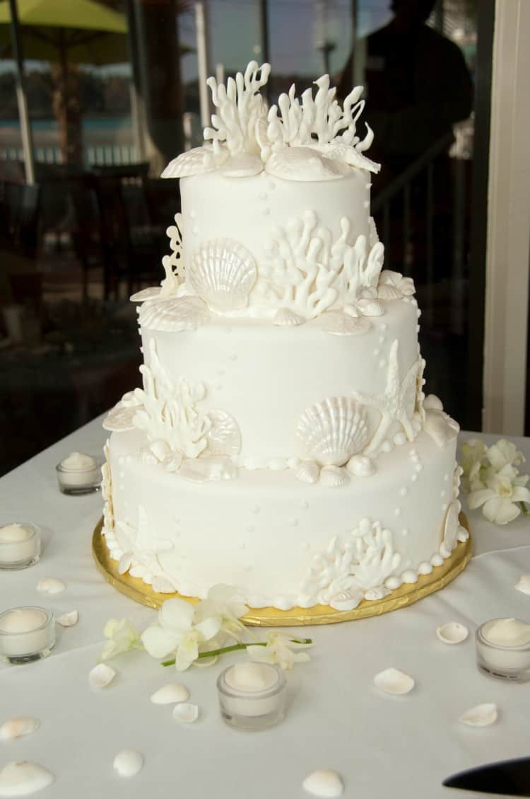 Beach Themed Wedding Cakes Pictures
 Beach Wedding Cake Ideas Destination Wedding Details