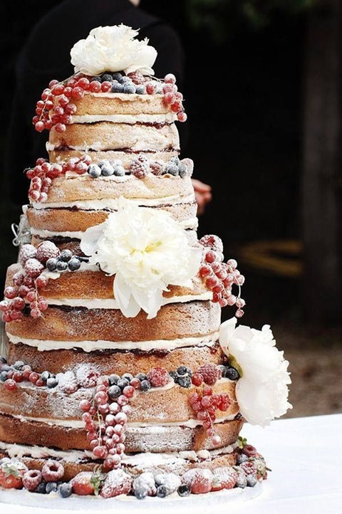 Beautiful Simple Wedding Cakes
 103 Fabulous Winter Wedding Cakes