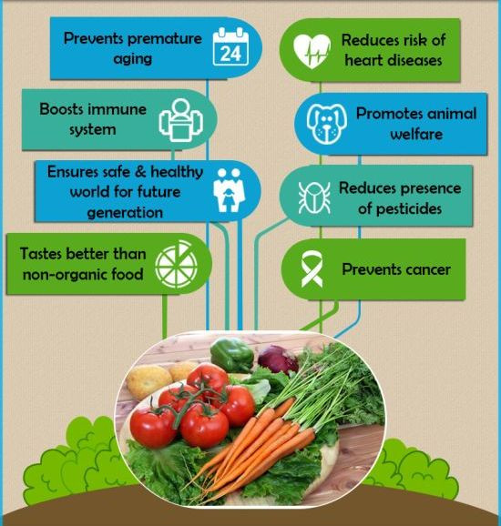 Benefits Of Healthy Snacks
 Diabeticpick A plete Diabetes line Stores in India