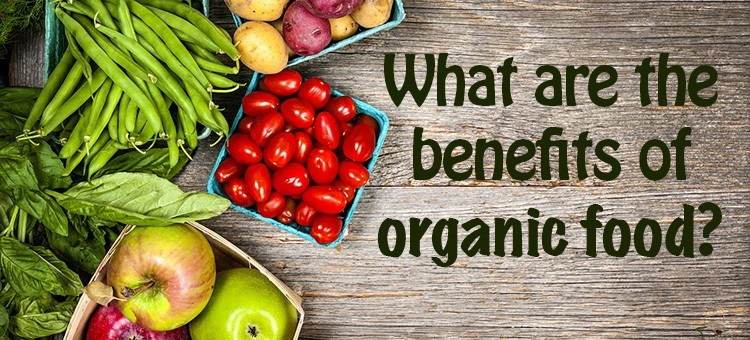 Benefits Of Healthy Snacks
 How Going Organic Benefits Your Body