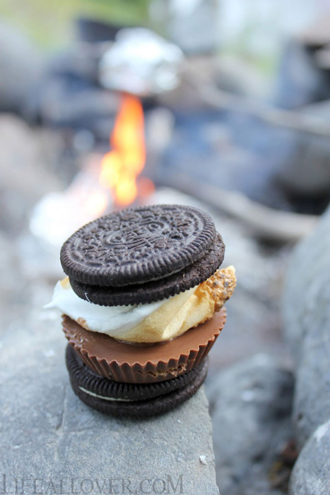 Best Camping Desserts
 CAMPING TRIP DESSERTS