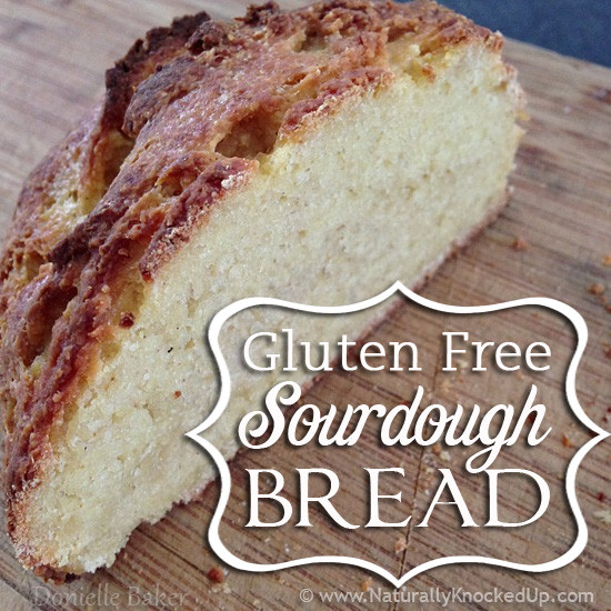 Best Organic Gluten Free Bread
 26 Sourdough Bread Recipes