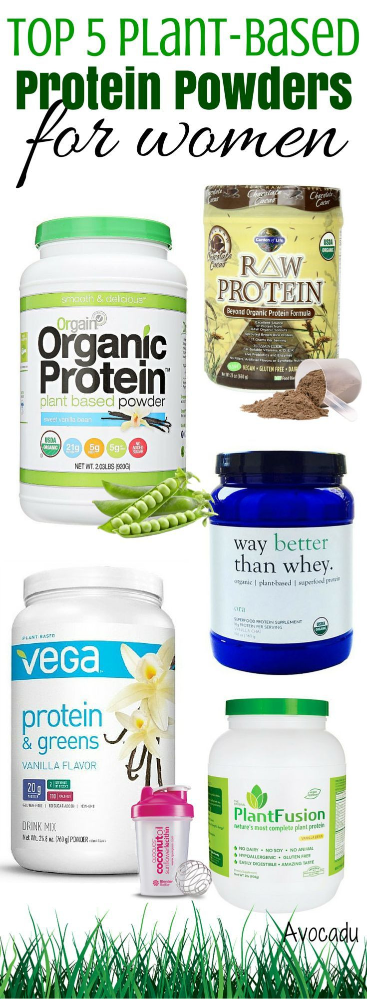 Best Organic Vegetarian Protein Powder
 best organic plant based protein powder