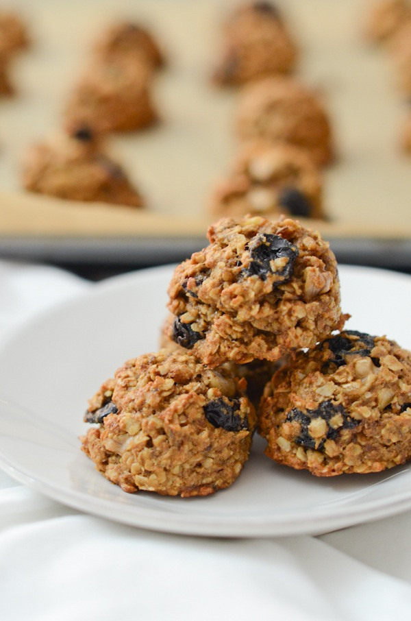 Breakfast Cookie Recipe Healthy
 healthy breakfast cookies recipe