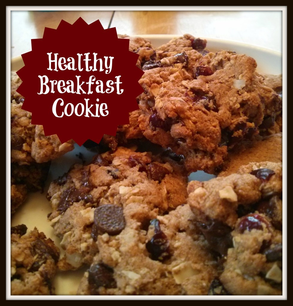 Breakfast Cookie Recipe Healthy
 “Healthy” Breakfast Cookie — Just Jilly