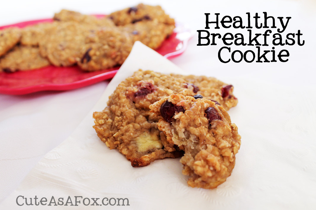 Breakfast Cookies Healthy
 Healthy Breakfast Cookie
