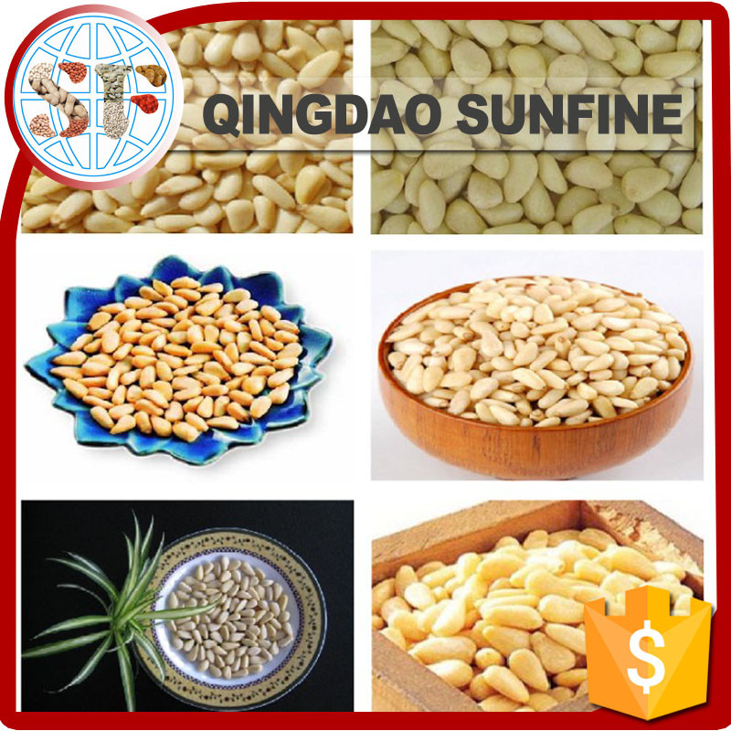 Bulk Healthy Snacks
 Health Food Bulk Organic Pine Nuts Buy Pine Nut Organic