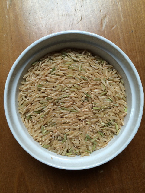 Bulk Organic Brown Rice
 Lundberg Organic Brown Basmati Rice