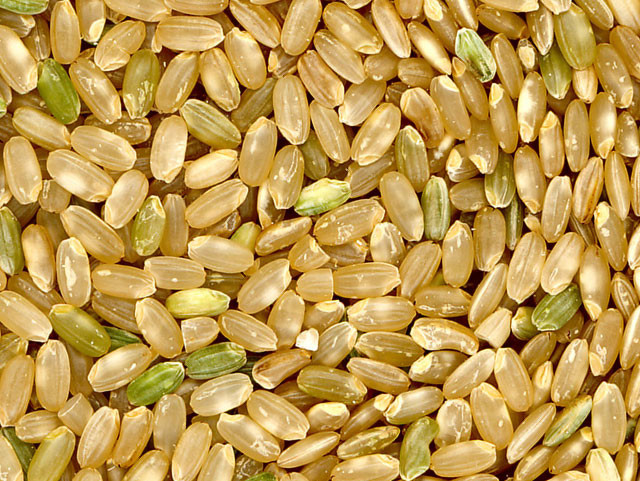 Bulk Organic Brown Rice
 Wholesale Bulk Grains Beans Seeds Flour Meal Baking Needs