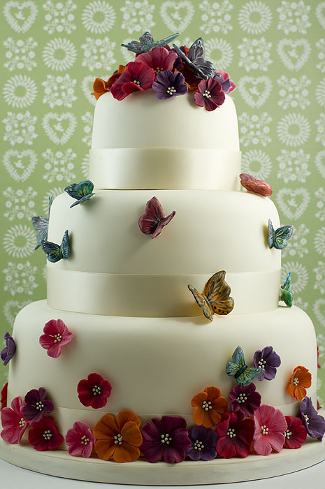 Butterfly Wedding Cakes
 Wedding Juliet Stallwood Cakes & Biscuits