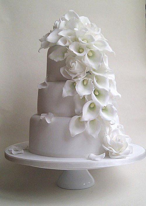 Calla Lily Wedding Cakes
 Wedding Flowers Calla Lily