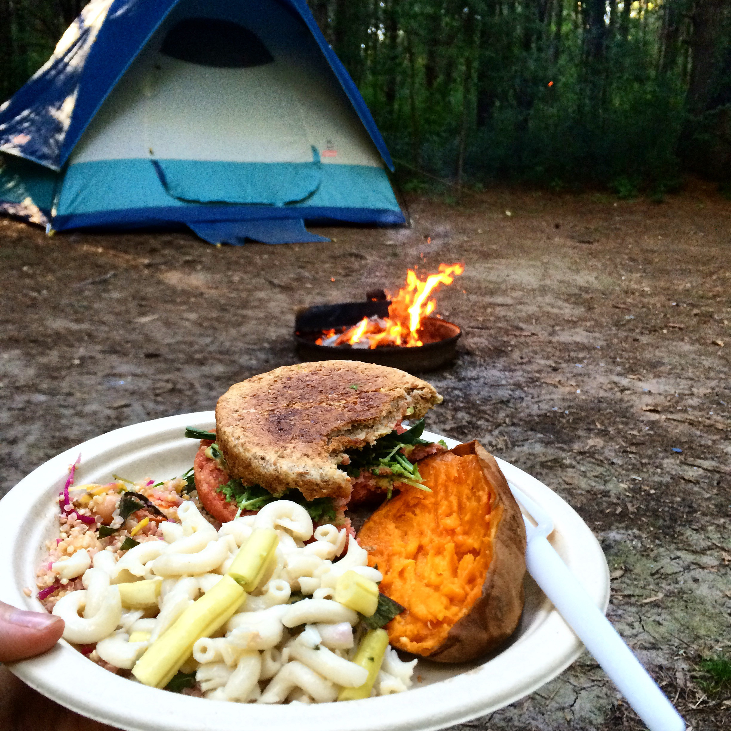 Camping Dinners For Two
 Camping Food Related Keywords Camping Food Long Tail