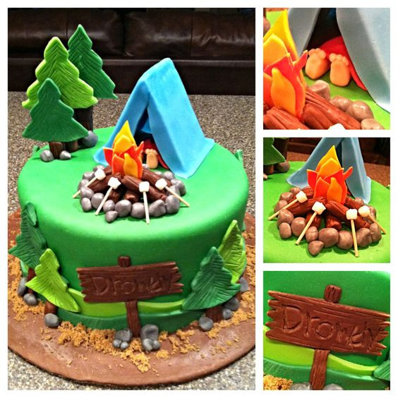 Camping Themed Birthday Cake
 Southern Blue Celebrations CAMPING THEMED CAKES CUPCAKES