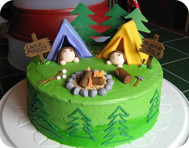 Camping Themed Birthday Cake
 Camping Theme Cakes on Pinterest