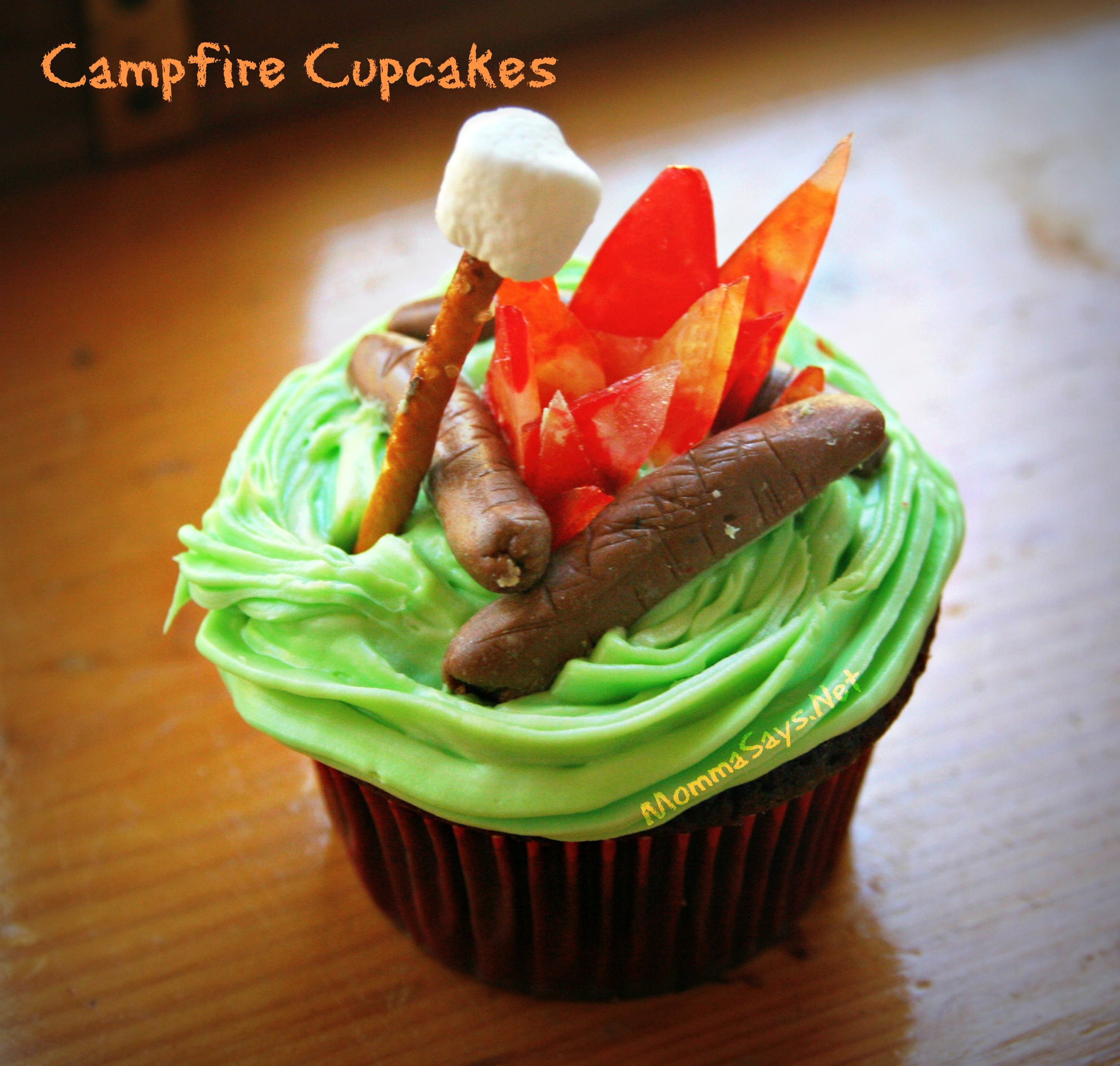 Camping Themed Cupcakes
 Campfire Cupcakes and Cake MommaSays