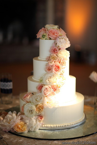 Charleston Wedding Cakes
 Cakes by Kasarda Charleston SC Wedding Cake