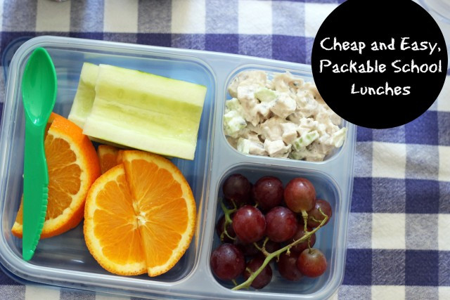 Cheap And Healthy Lunches
 5 Cheap & Easy Packable School Lunches