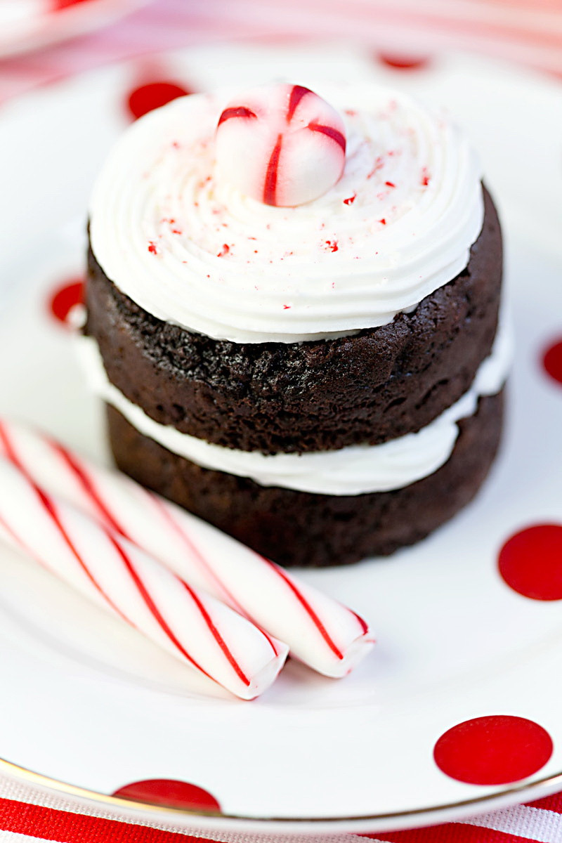 Cheap Healthy Desserts
 Chocolate Peppermint Cake – Cheap & Healthy Christmas