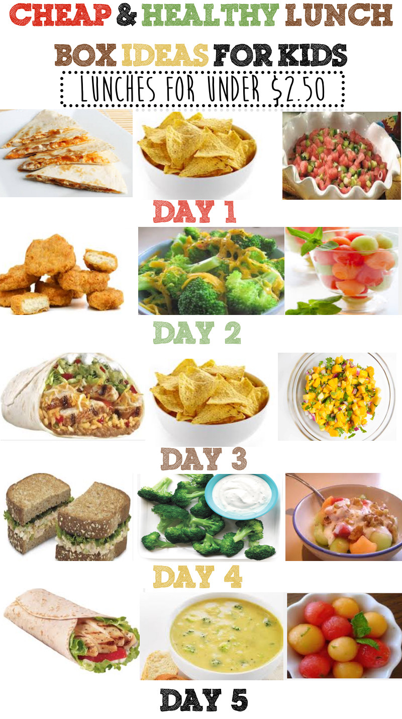 Cheap Healthy Dinner
 Cheap & Healthy Lunch Box Ideas For Kids Week 3