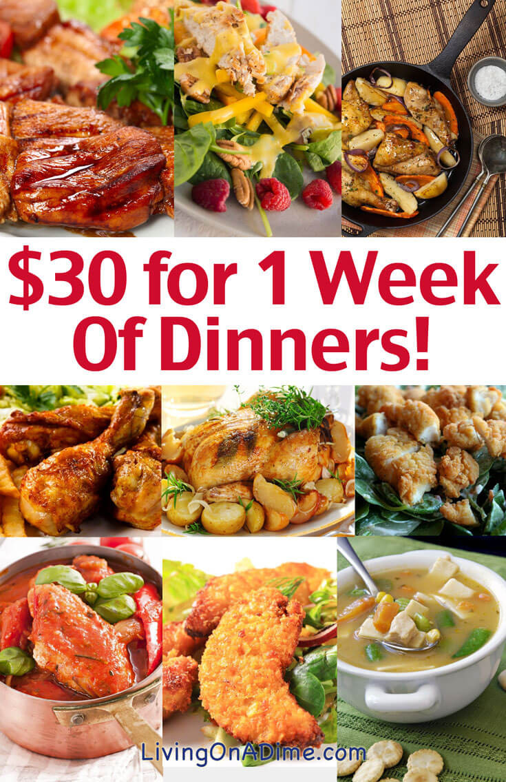 Cheap Healthy Dinners For 4
 Cheap Family Dinner Ideas $30 for 1 Week of Dinners