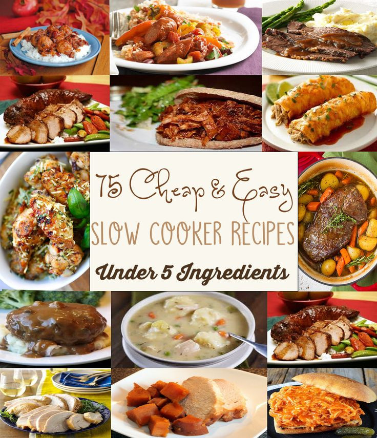 Cheap Healthy Slow Cooker Recipes
 570 best crock pot freezer images on Pinterest