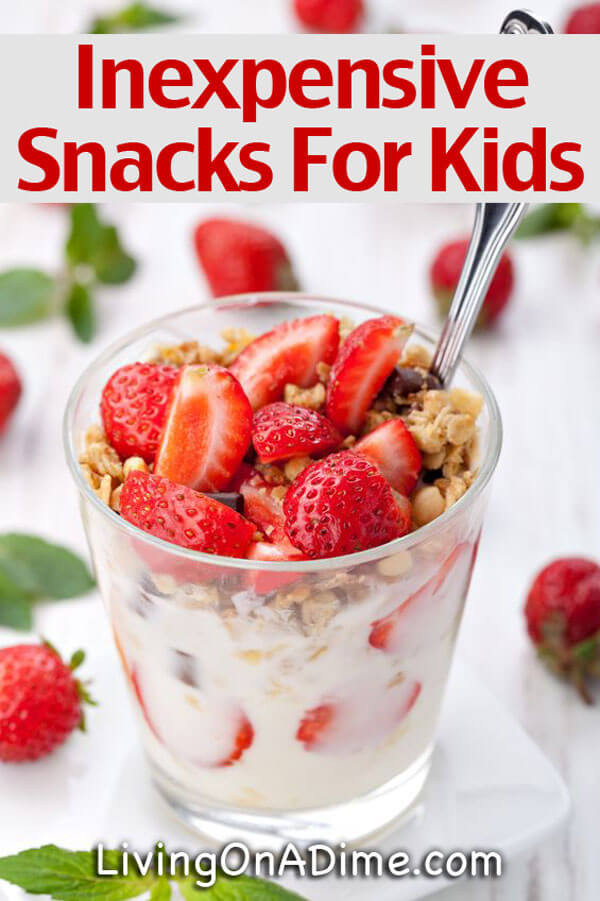 Cheap Healthy Snacks
 Cheap Quick And Easy Snacks For Kids Snacks The Go