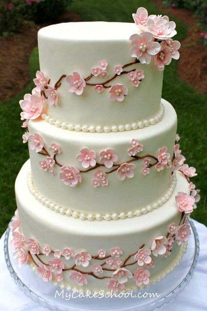Cherry Blossom Wedding Cakes
 Cherry Blossom Cake on Pinterest