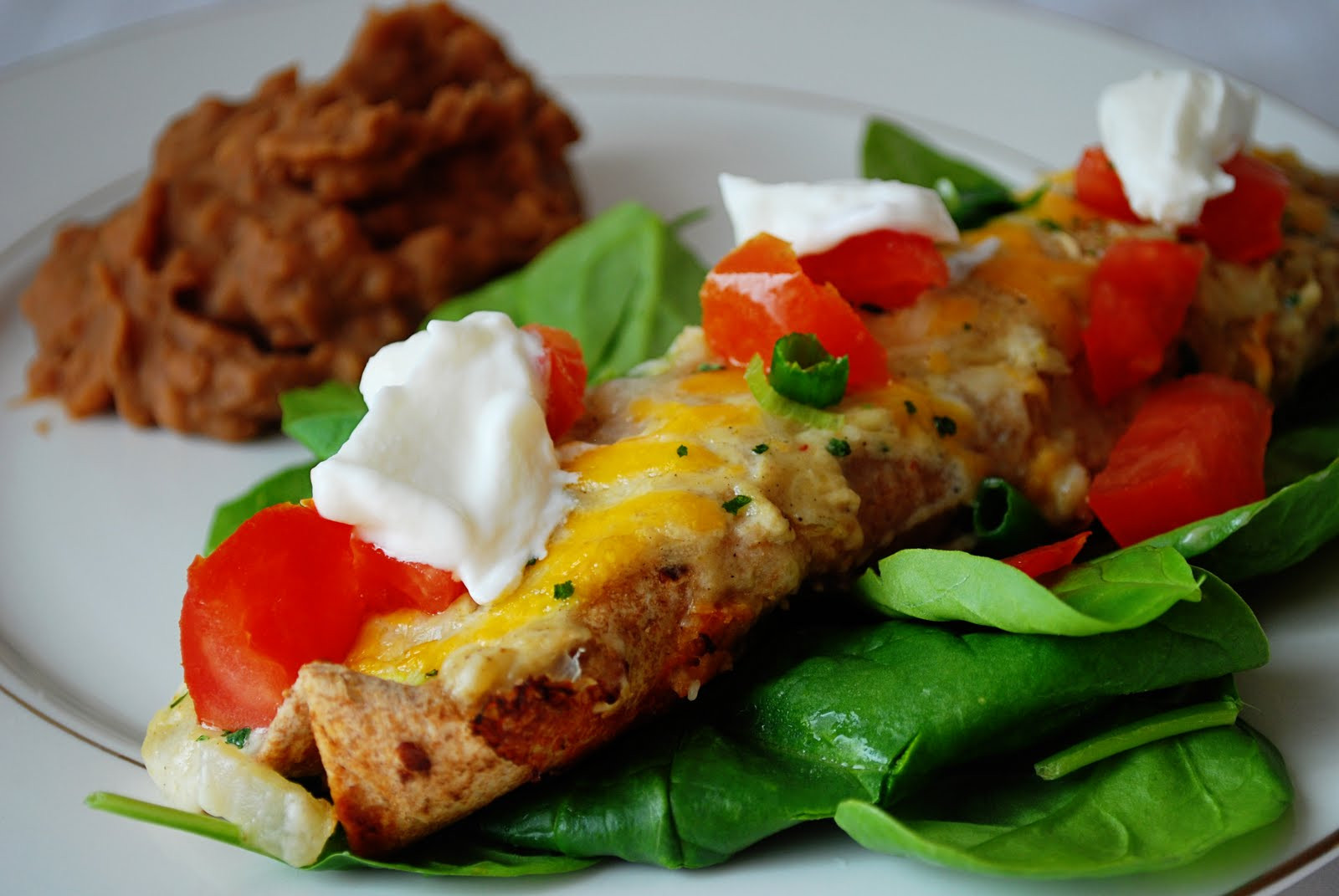 Chicken Enchiladas Healthy
 Health Conscious Momma Healthy Chicken Enchiladas