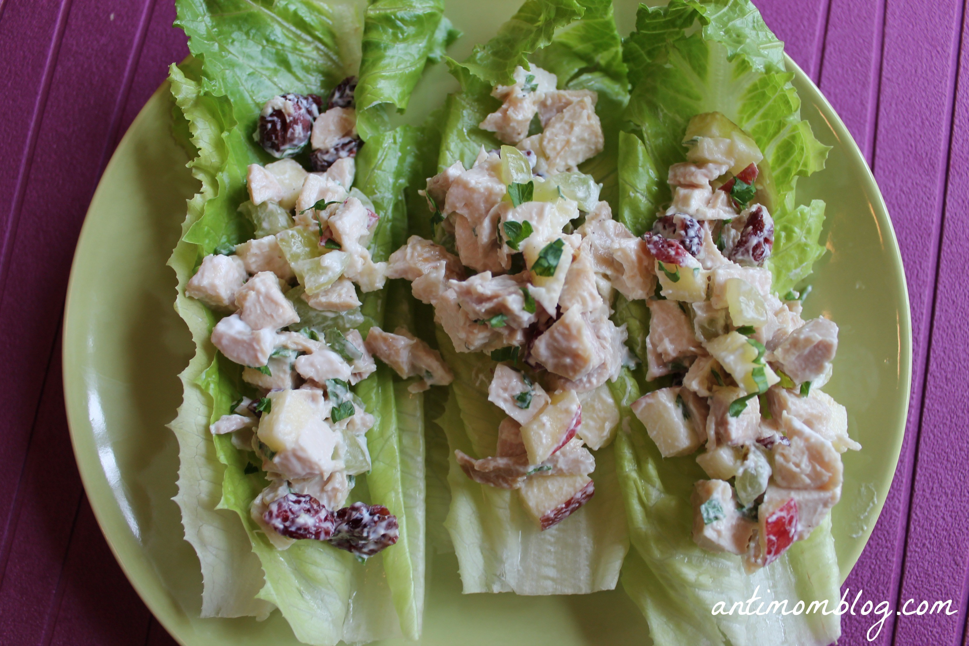 Chicken Salad Healthy
 Healthy Chicken Salad Recipe The Anti Mom Blog