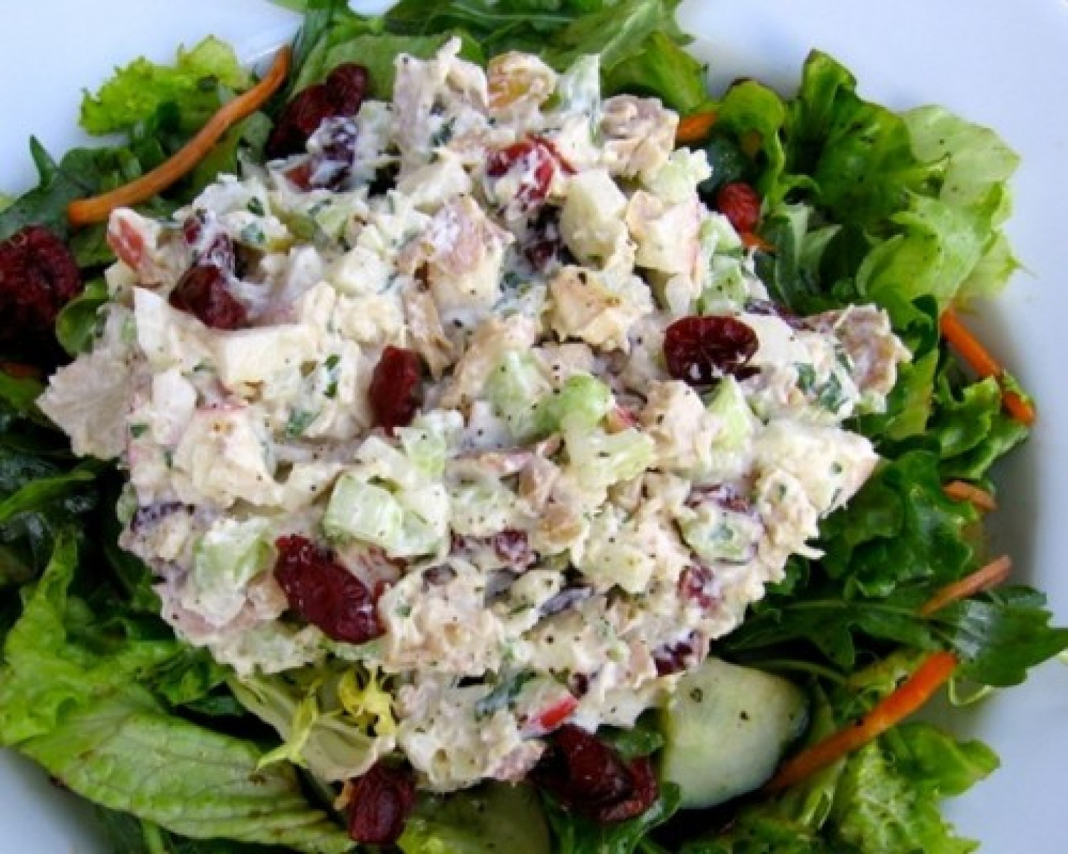 Chicken Salad Recipe Healthy
 Healthy Chicken Salad with Apples & Cranberries Recipe