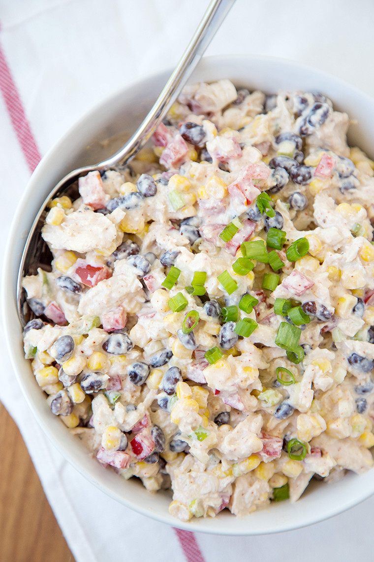 Chicken Salad Recipe Healthy
 Skinny Southwest Chicken Dip Yellow Bliss Road