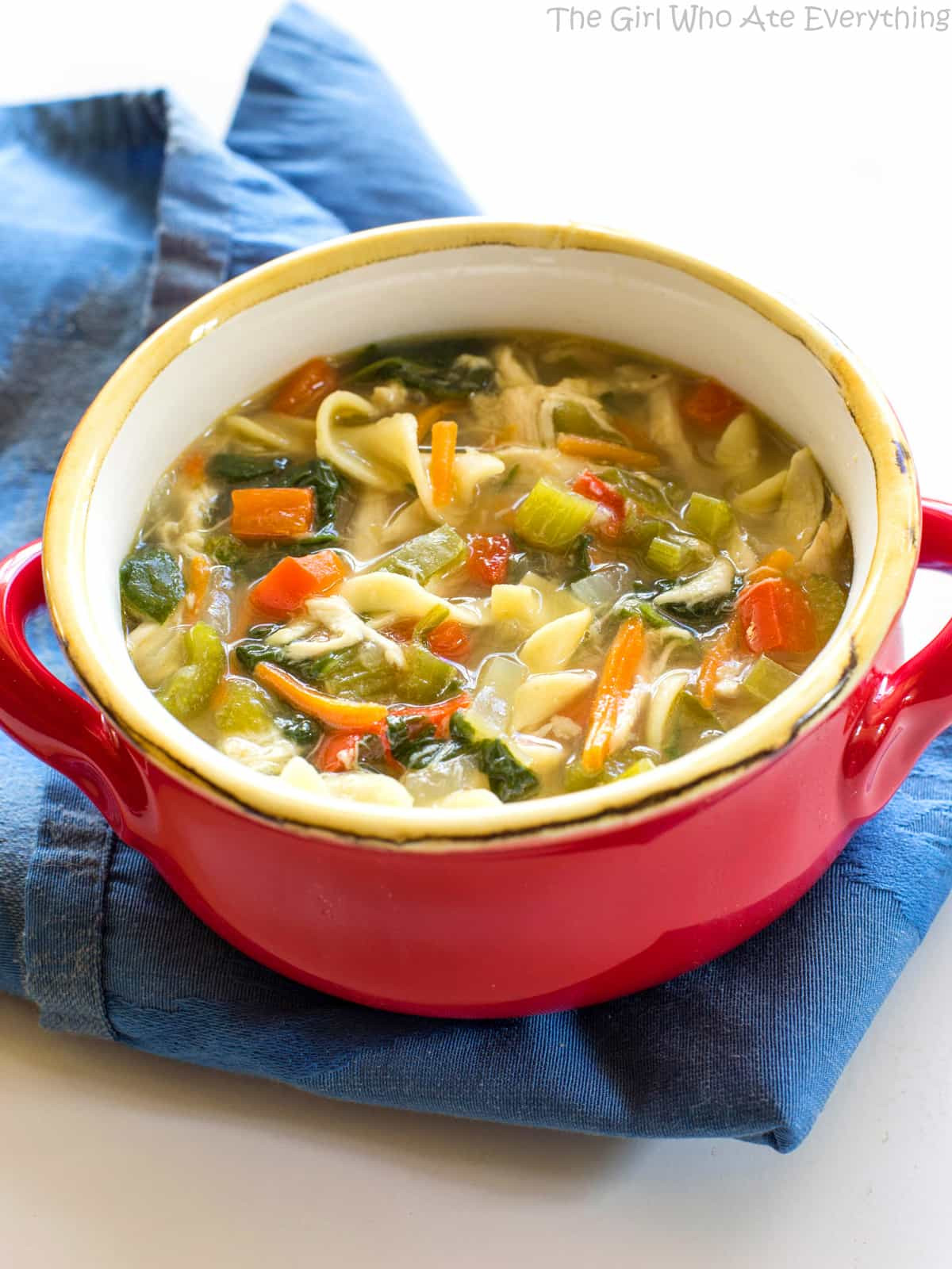 Chicken Soup Healthy
 Healthy Ve able Chicken Soup The Girl Who Ate Everything